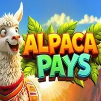 Casino Webcam SLOT JILI Login